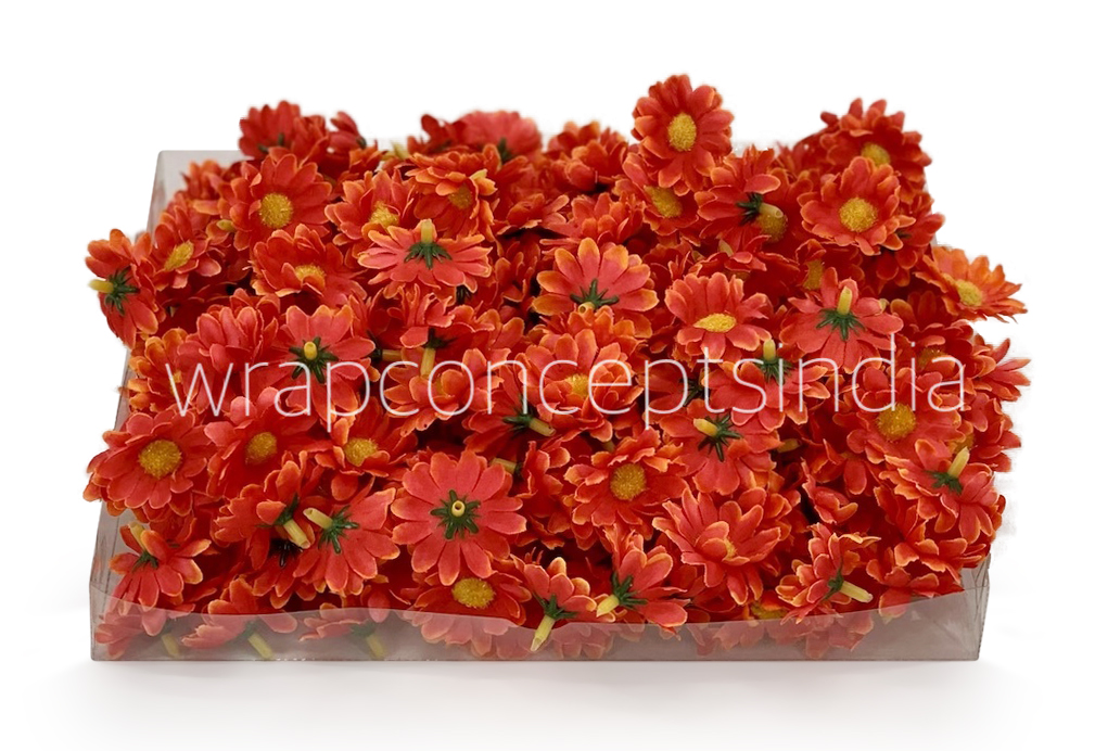 Burnt Orange Daisy Flowers
