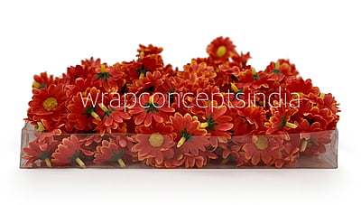 Burnt Orange Daisy Flowers