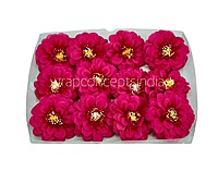 Dahlia Flower - Fuchsia