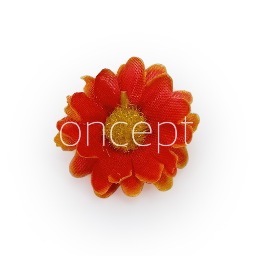 Burnt Orange Daisy Flowers