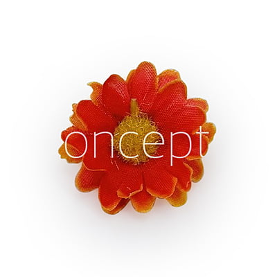 Burnt Orange Daisy Flowers