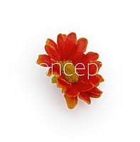 Burnt Orange Daisy Flowers