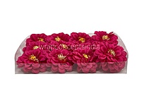 Dahlia Flower - Fuchsia