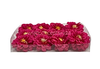 Dahlia Flower - Fuchsia
