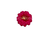 Dahlia Flower - Fuchsia