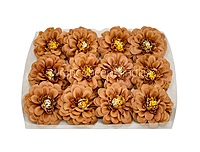 Dahlia Flower - Chocolate