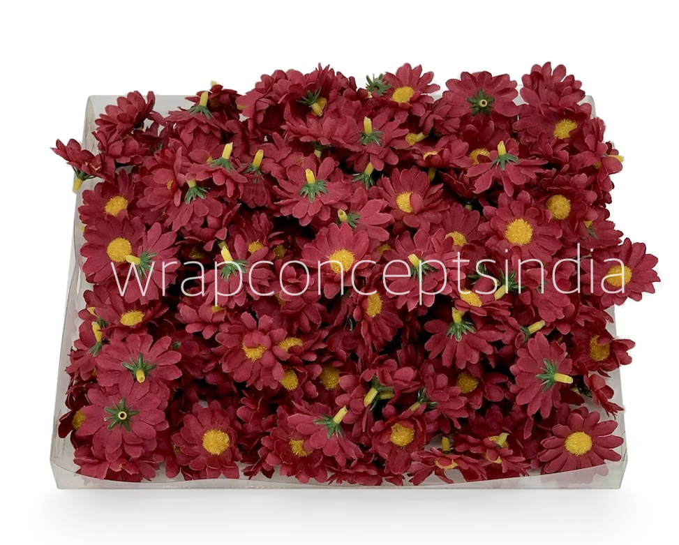 Wine Daisy Flowers