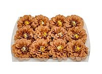 Dahlia Flower - Chocolate