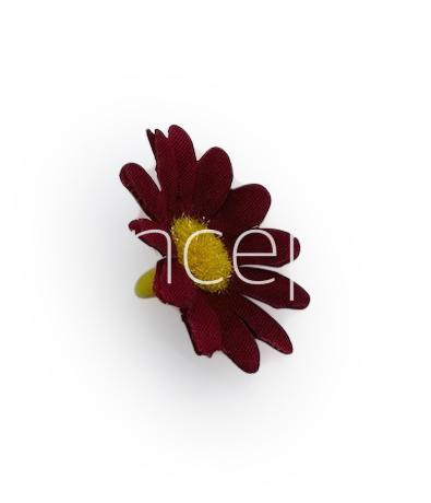 Wine Daisy Flowers