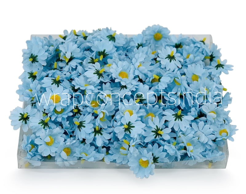 Soft Blue Daisy Flowers