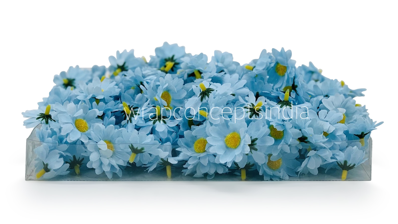 Soft Blue Daisy Flowers
