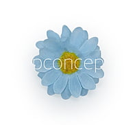 Soft Blue Daisy Flowers