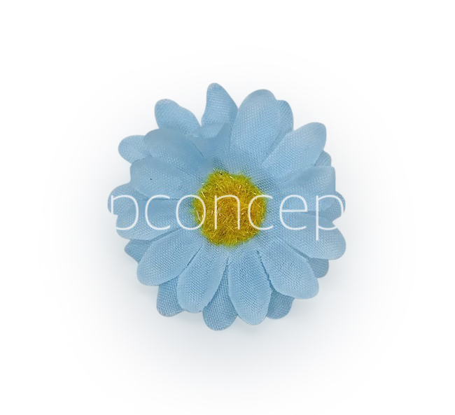 Soft Blue Daisy Flowers