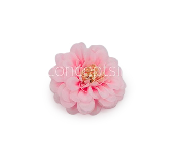 Dahlia Flower - Baby Pink