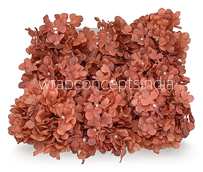 Indian Red Hydrangeas