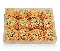 Ornate Peony-Ochre Shaded