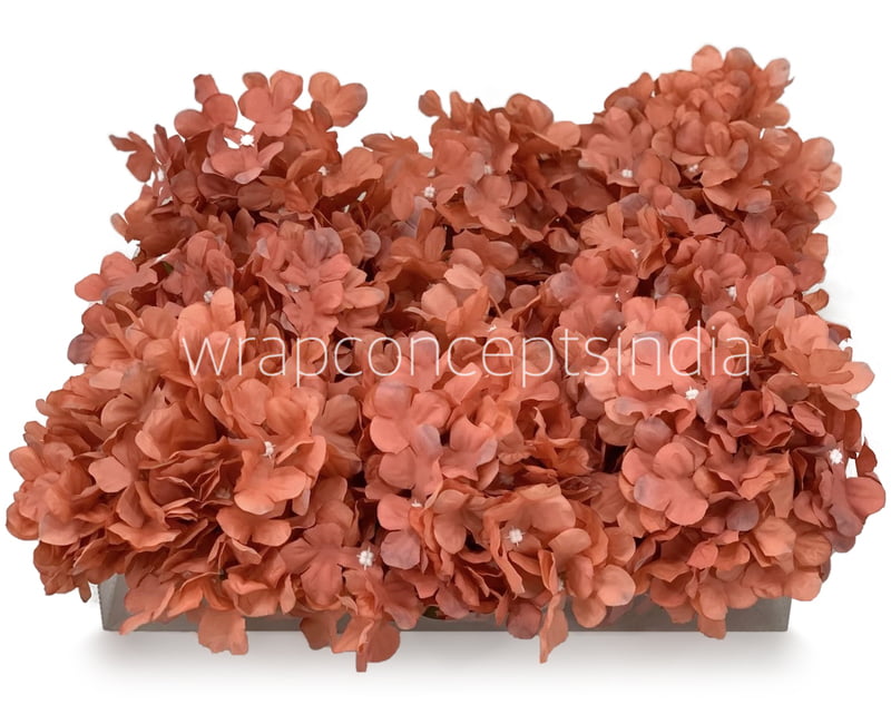 Indian Red Hydrangeas