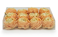 Ornate Peony-Ochre Shaded