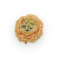 Ornate Peony-Ochre Shaded