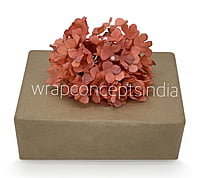 Indian Red Hydrangeas