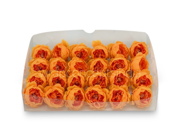 Orange Peonies