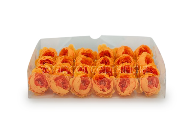Orange Peonies