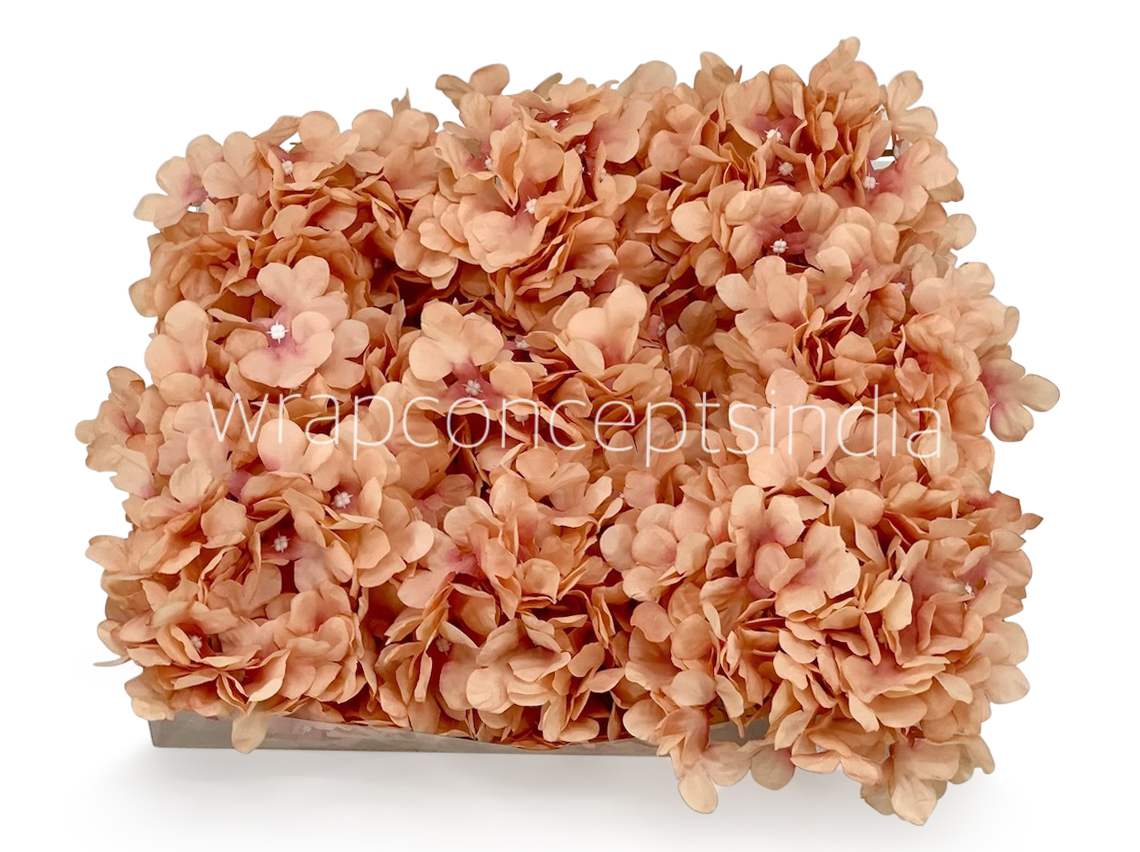 Cantaloupe Hydrangeas