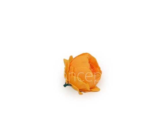 Orange Peonies
