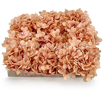 Cantaloupe Hydrangeas