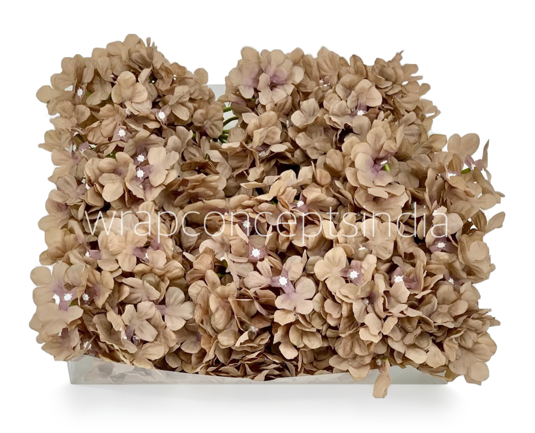 Dirt Hydrangeas