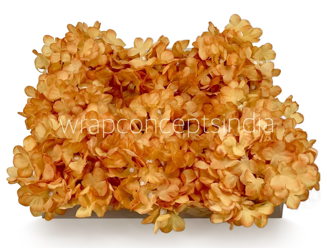 Honey Hydrangeas