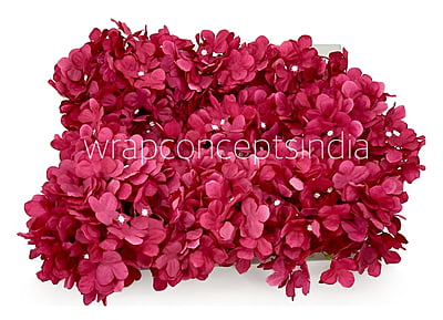 Cerise Hydrangeas Cerise Hydrangeas