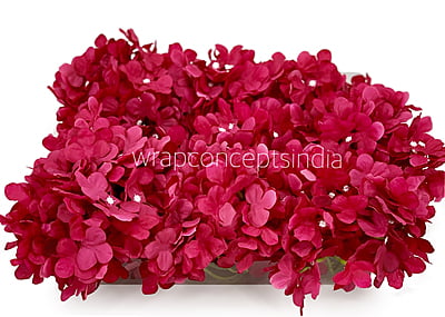 Cerise Hydrangeas Cerise Hydrangeas