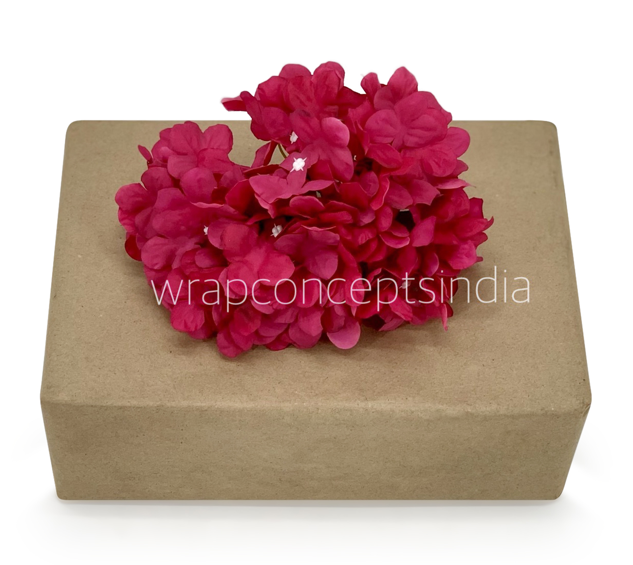 Cerise Hydrangeas