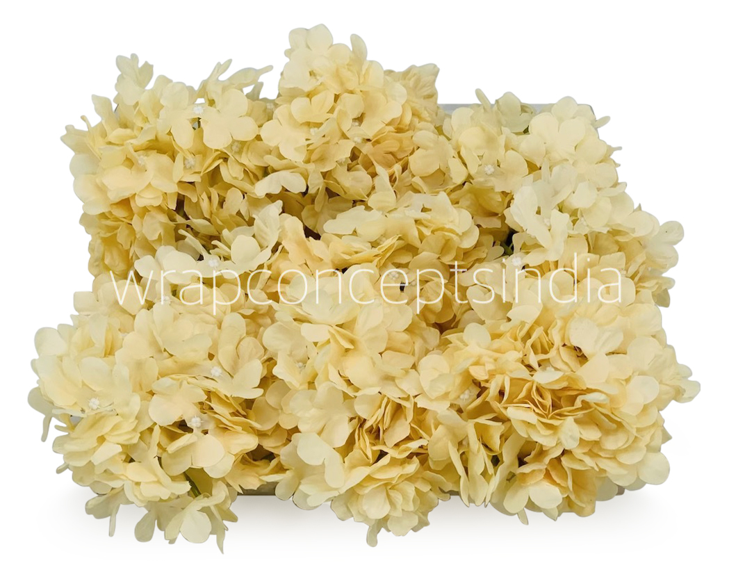 Egg Nog Hydrangeas