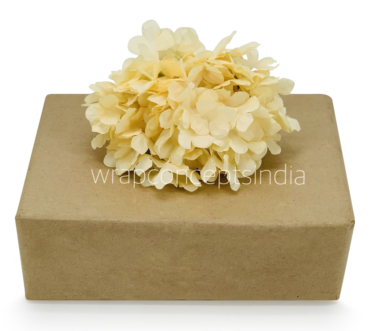 Egg Nog Hydrangeas