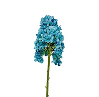 Hydrangeas Stem