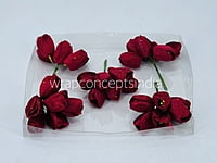 Ruby Tulip Buds on Stick