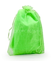 Sheer Pouch Bags - 17x23 cms