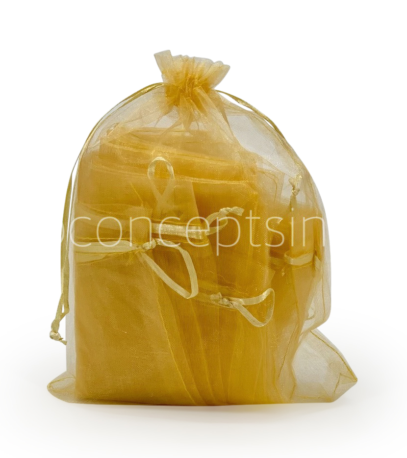 Sheer Pouch Bags - 17x23 cms