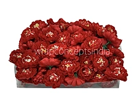 Red Small Dahlias