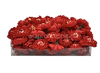 Red Small Dahlias
