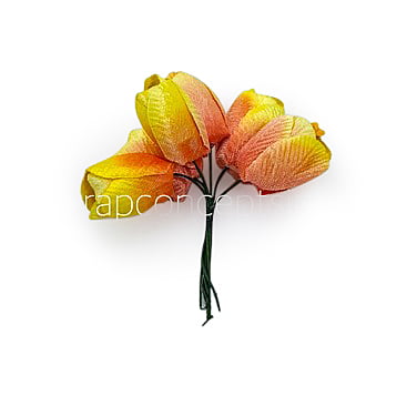 Lemon with hints of Peach Tulip Buds on Stick