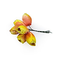 Lemon with hints of Peach Tulip Buds on Stick