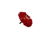 Red Small Dahlias