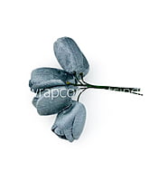 Dolphin Grey Tulip Buds on Stick