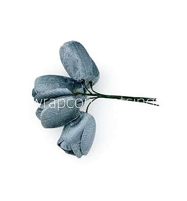 Dolphin Grey Tulip Buds on Stick