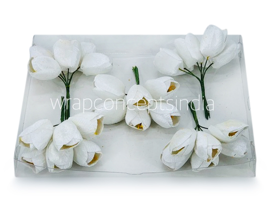 White Tulip Bud on Stick