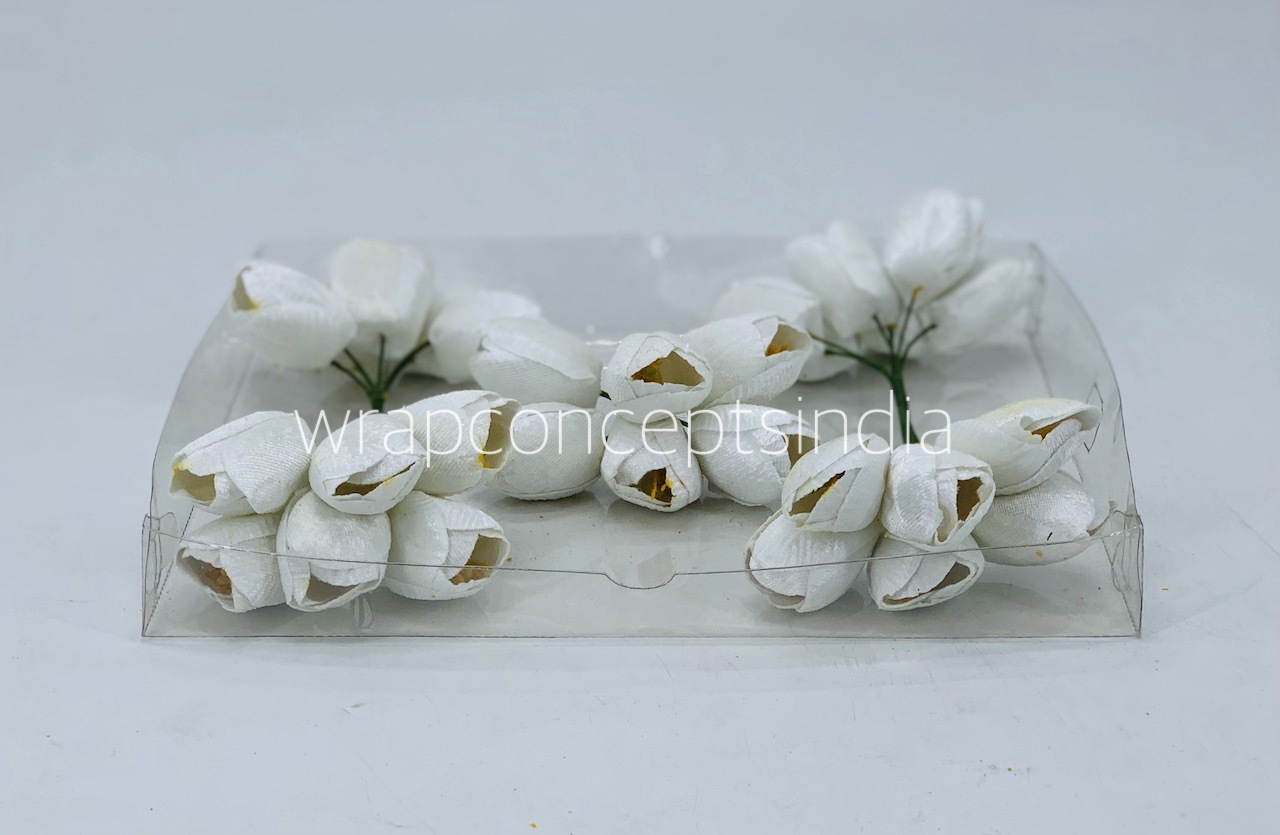 White Tulip Bud on Stick