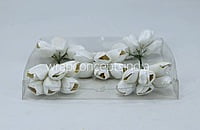 White Tulip Bud on Stick